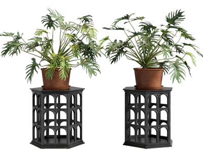 法式边几角几 盆景盆栽