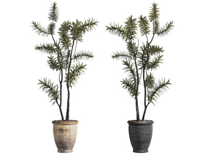 侘寂风陶艺花盆盆栽植物