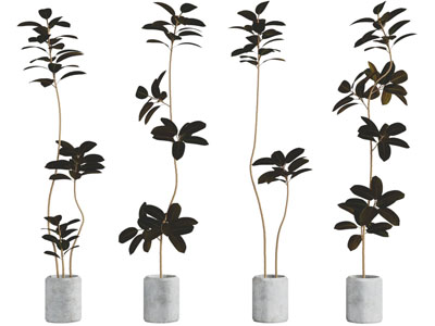 现代水泥花盆盆栽植物