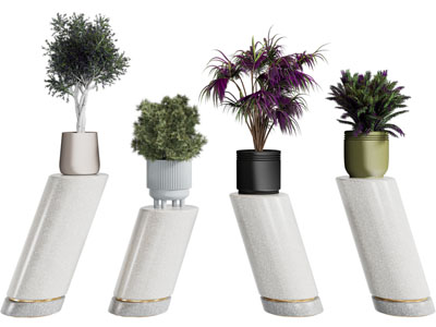 现代花盆盆景盆栽摆件组合