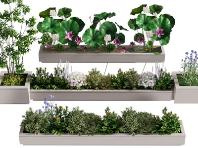 新中式荷花池 花草花卉盆栽植物