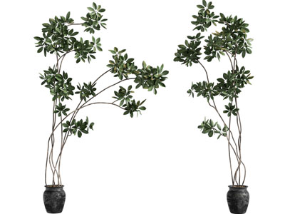 现代陶艺花盆盆栽植物