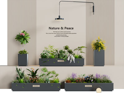 现代花箱花卉花草植物