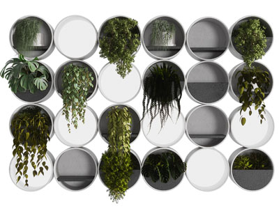 现代藤蔓植物墙 植物墙饰