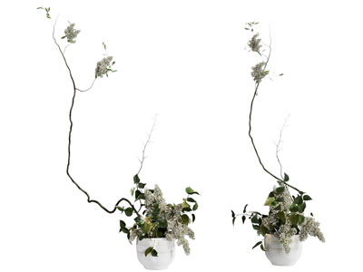 现代花盆盆景盆栽