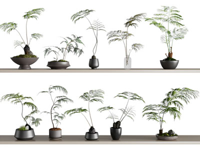 新中式盆景盆栽