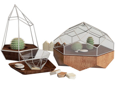 现代多肉摆件组合