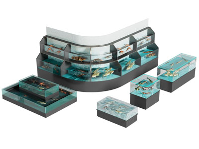 现代海鲜池 海鲜台