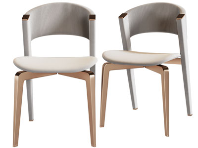 现代休闲椅子 餐椅