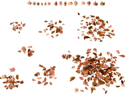 现代枯黄色的树叶