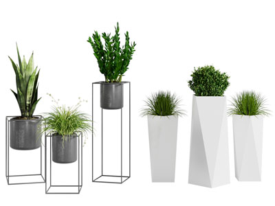 现代花盆盆栽植物