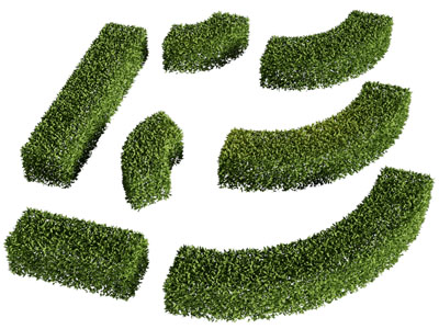 现代园林景观长方形 弧形灌木丛植物