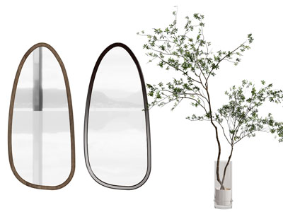 现代异形装饰镜子 墙饰