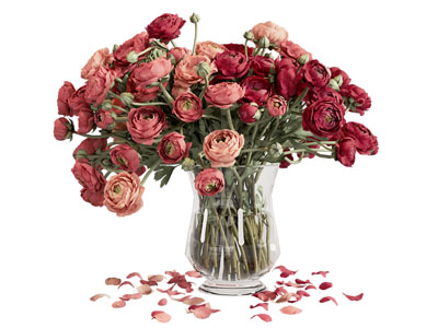 现代玻璃花瓶花卉