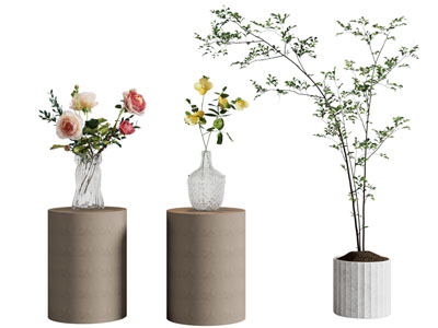 现代玻璃花瓶花卉 盆栽植物