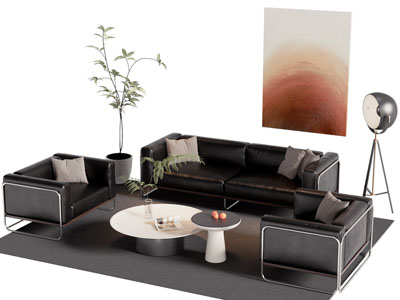 现代双人 单人沙发和茶几组合