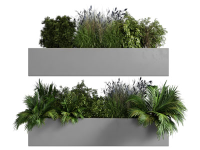 现代花坛花草花卉盆栽植物