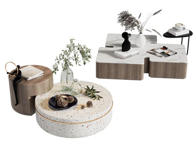 现代异形茶几3d模型 现代异形茶几