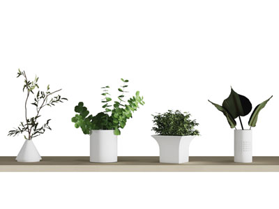 现代花盆盆栽植物 摆件