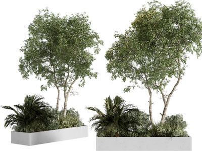 现代花坛花草树木景观园艺小品