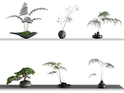 新中式盆景盆栽摆件组合