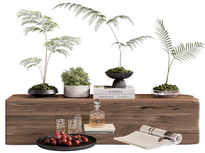 现代盆景盆栽植物 托盘酒瓶酒杯 摆件
