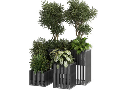 现代花箱盆栽花草树木植物
