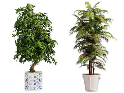 新中式花盆盆栽树木植物