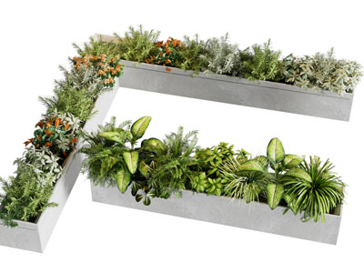 现代户外花坛花草盆栽植物