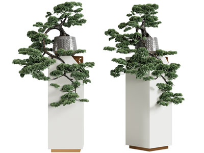 新中式松树盆景盆栽 摆件组合