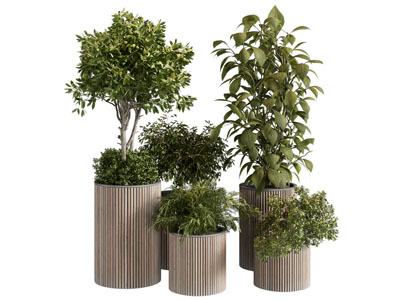 现代竖条纹花盆盆栽植物