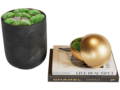 现代盆景盆栽 书本摆件组合