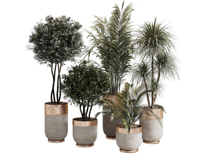 现代轻奢花盆盆栽植物