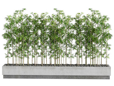 新中式竹子隔断 景观园艺小品