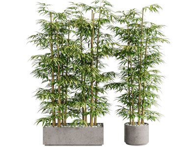 新中式盆栽竹子植物3d模型 新中式盆栽竹子植物