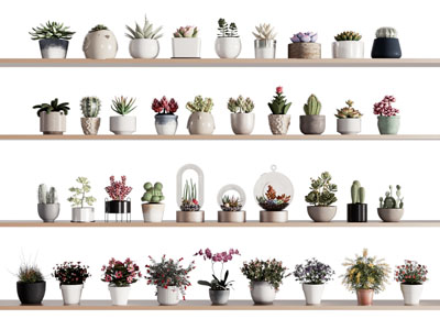 现代陶瓷花盆多肉盆栽植物摆件组合