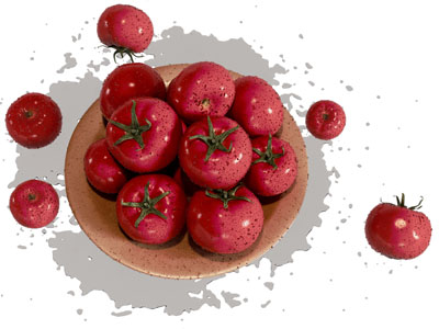现代盘装西红柿 蔬菜水果
