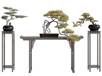 新中式松树盆景盆栽植物