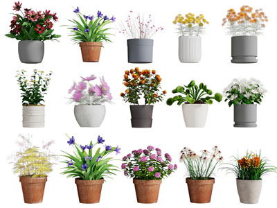 现代花盆盆栽植物