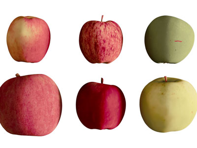 现代红苹果 绿苹果