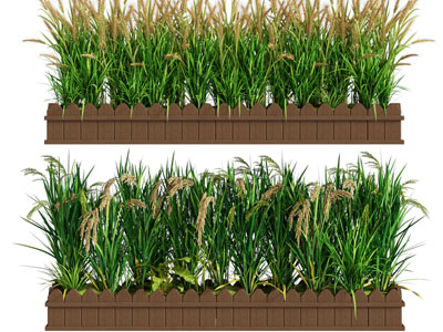 现代实木花箱麦苗盆景盆栽