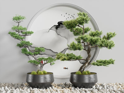 新中式松树盆景盆栽 景观园艺小品