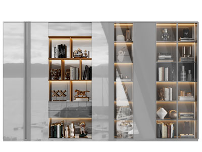 现代玻璃柜门的书柜 装饰柜