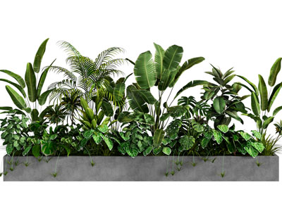 现代花坛花卉盆栽植物