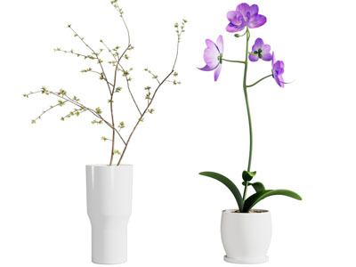 现代陶瓷花瓶花卉