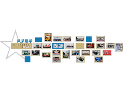 现代党建照片墙 展览墙