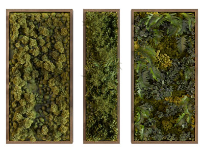 现代植物墙 绿植墙 苔藓墙