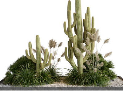 现代多肉植物盆景盆栽 景观园艺小品