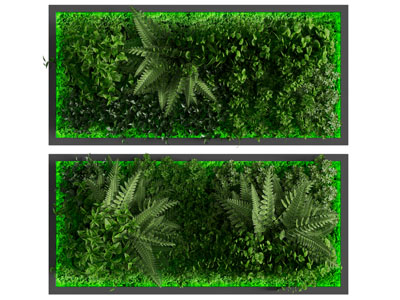 现代植物背景墙 植物墙