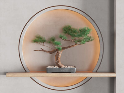新中式装饰松树盆景盆栽的造型背景墙